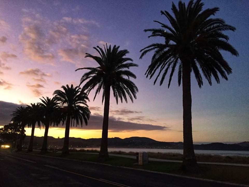 Albert Number 6 Whitianga Luaran gambar